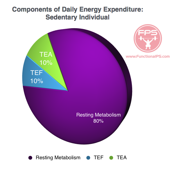 Components Of Daily Energy Expenditure Functional Performance Systems 